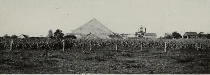 A wide farm view: a cornfield and fenced pasture in front, a tall cone-shaped mine rock dump in the middle distance, and a mine headframe, smokestack and buildings at right.