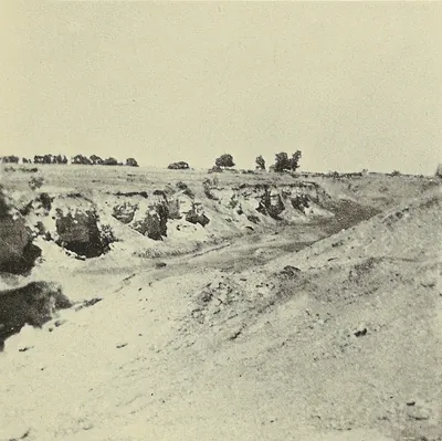 A worked-out strip pit: a long trench cut into pale ground, with broken banks of earth and rock and a line of trees along the far edge.