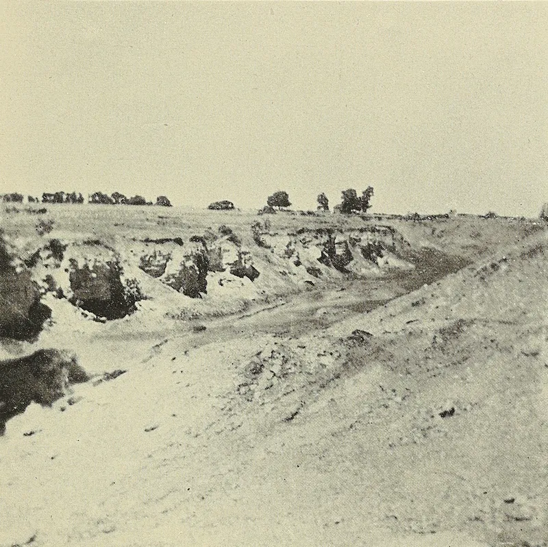 A worked-out strip pit: a long trench cut into pale ground, with broken banks of earth and rock and a line of trees along the far edge.