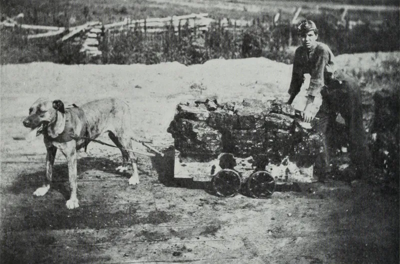 A large dog in harness pulling a small four-wheeled mine car heaped with lumps of coal, with a young man in a cap steadying the load from behind.