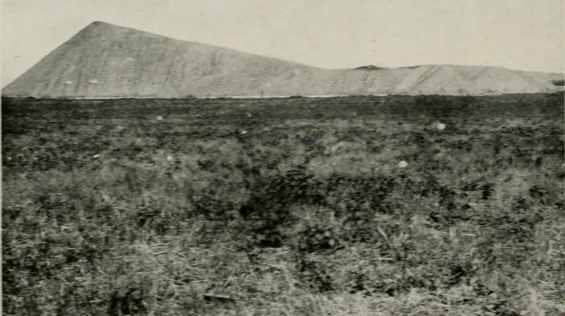 A long, steep-sided refuse dump of mine shale rising behind a flat field of grass and weeds.