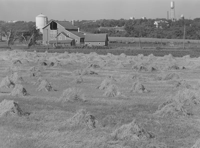 A field of grain shocks in the foreground, with a red barn, a silo and farm buildings behind, and a water tower and town on the horizon.