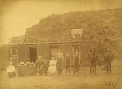 A family seated and standing in front of a sod house dug into a hillside, with a cow standing on the sod roof, a table of melons, and a team of mules at right.